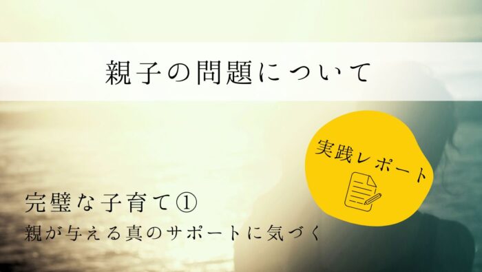 親子の問題について　実践レポート１　完璧な子育て