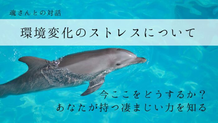 対話メッセージ　環境変化のストレスについて