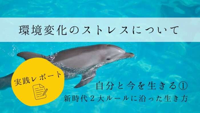 環境変化のストレスについて　実践レポート１　自分と今を生きる
