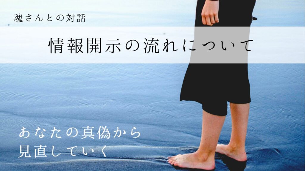 対話メッセージ 情報開示の流れについて
